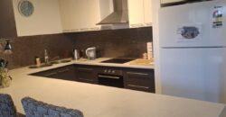 Shared Furnished Unit Seeking Student