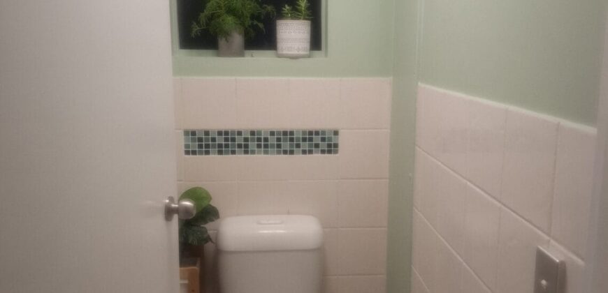 Shared Furnished Unit Seeking Student