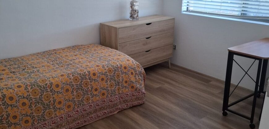 Shared Furnished Unit Seeking Student