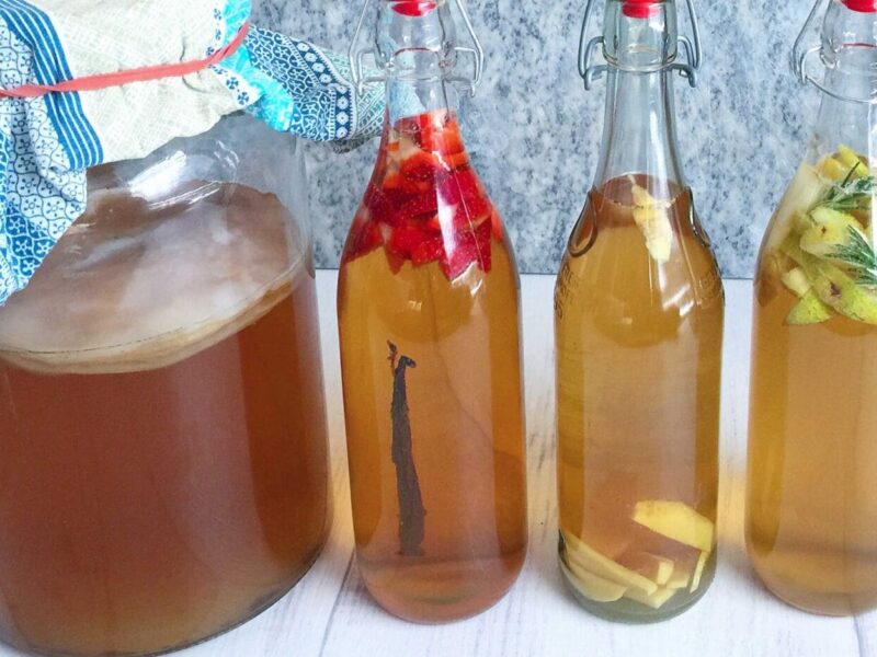 Kombucha blog