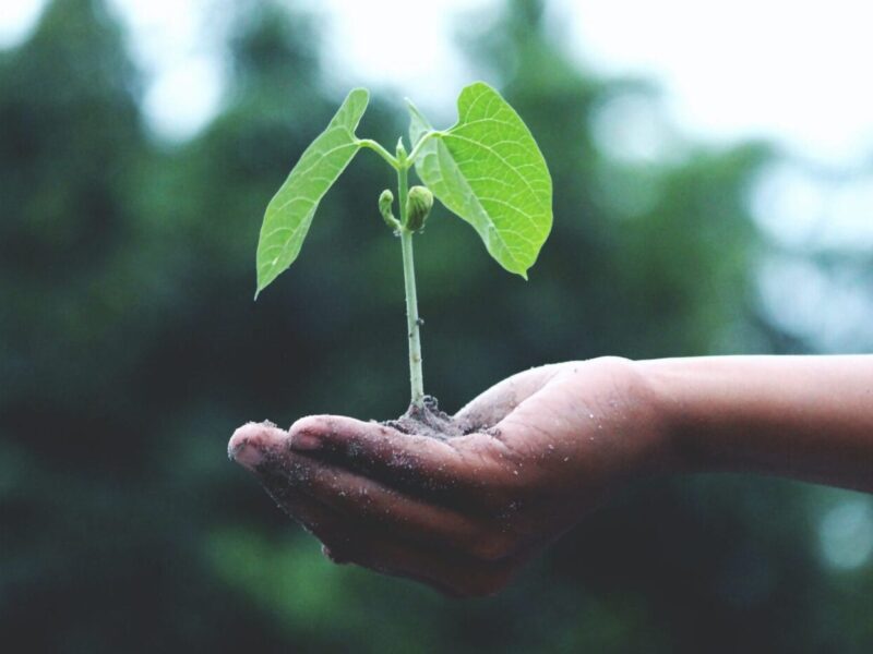 Sustainability Week blog2